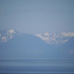 北向きの斜面には雪がたっぷり