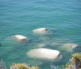 エメラルドグリーンの湖水