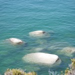 エメラルドグリーンの湖水