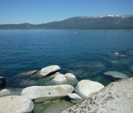 向きによっては真っ青に輝く