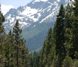 アルプスみたいな風景をドライブ