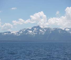 海みたいにでっかいです