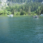 緑の水面に新緑が映える