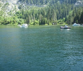 緑の水面に新緑が映える