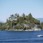 エメラルドベイの中島
