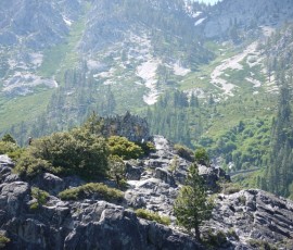 中島に建つティーハウスの廃墟