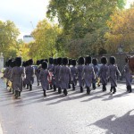 あ、女性の方も!