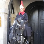 ここを守るのは騎馬連隊の騎兵