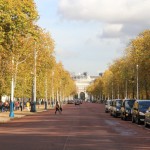 広々とした「ザ・マル」