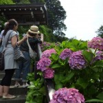 あ、こっちにも寺の登り口が!