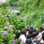 それにしても、この人、人、人!