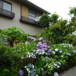 こちらの住宅は「紫陽花屋敷」!