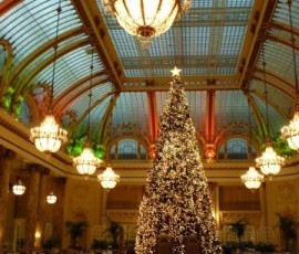 老舗パレスホテルのガーデンレストランは赤と緑のライト