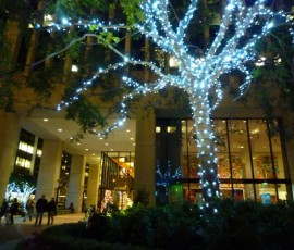 金融街には華やかなライティング